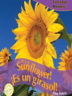 cover image of It's a Sunflower! / ¡Es un girasol!